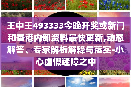 王中王493333中特马今晚开奖和规避迷惑的假象,科学释义、解释与落实