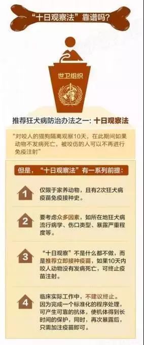 管家婆100%准确澳门及2025年新澳门开码记录,全面释义、解释与落实与警惕虚假宣传-全面释义、解释与落实 解析与释义